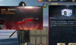 泷战视频最新爆料,揭秘幕后真相，带你走进神秘世界