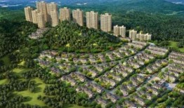 肥乡玉桂园最新爆料消息,揭秘神秘项目背后的惊人真相！