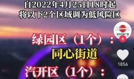 长春爆料今日最新消息,突发事件引发关注，详情即将揭晓