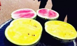 最新吃瓜聚集地爆料,最新吃瓜聚集地爆料的惊人内幕